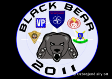 Black Bear 2011