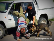 Spolon kooperan vcvik sluobnch psov a psovodov ozbrojench zborov a Vojenskej polcie SR 